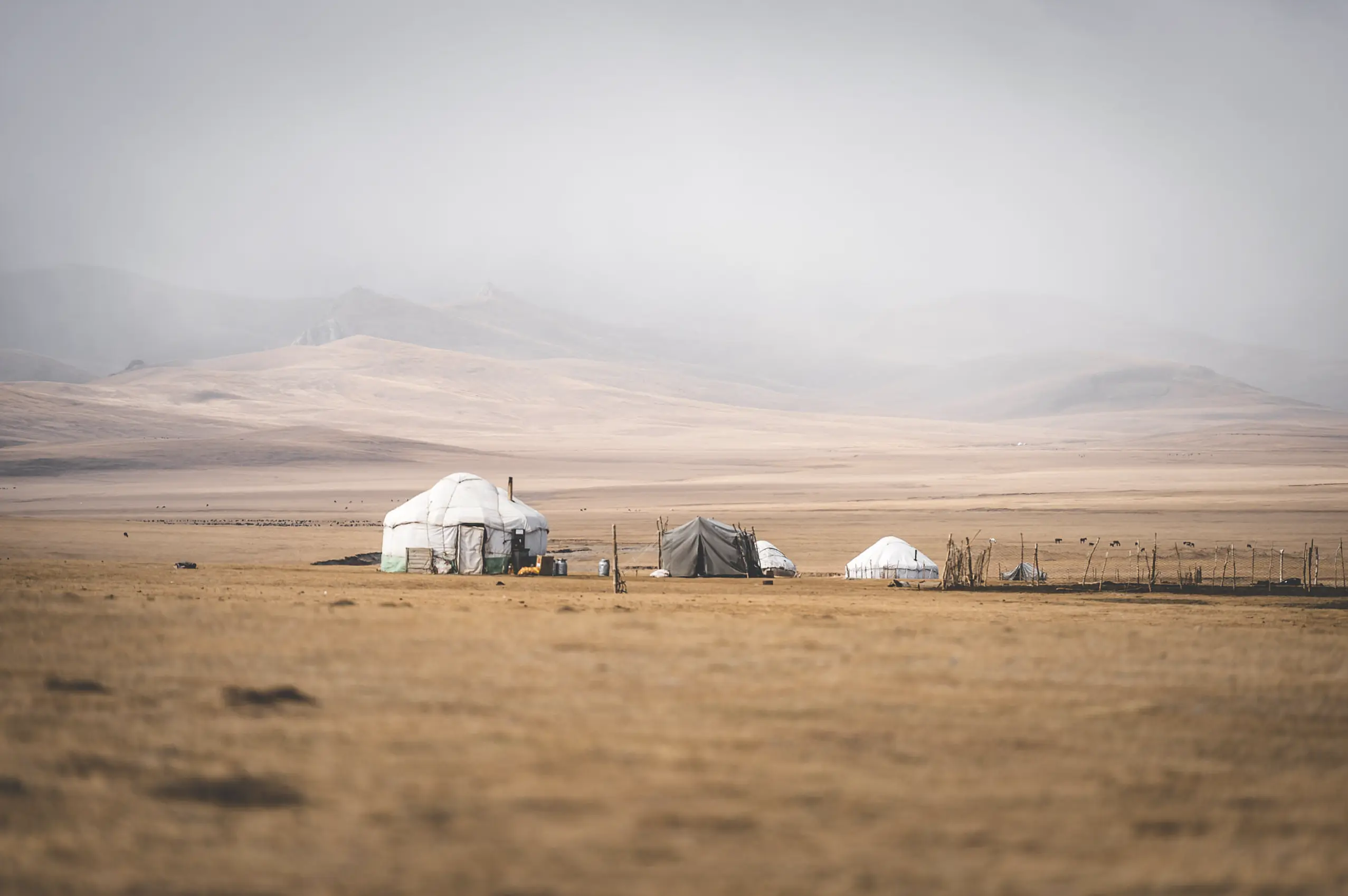 Kyrgyzstan and Kazakhstan