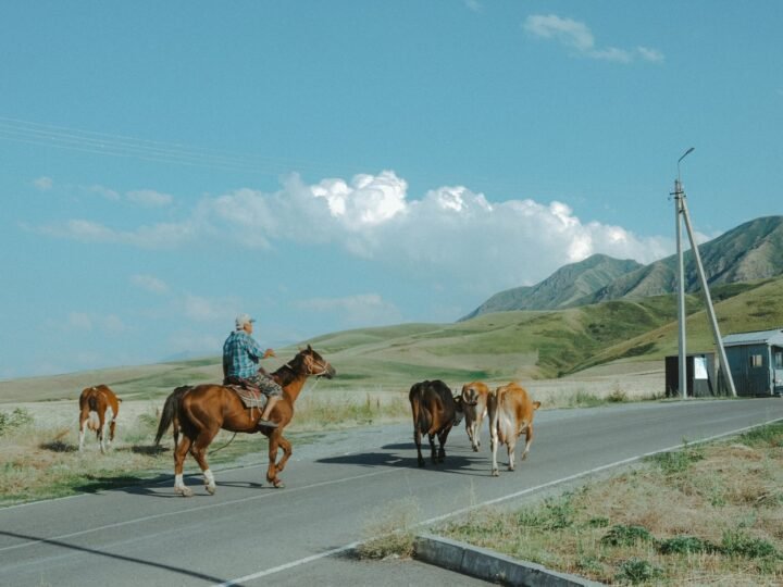 Rider road, Kyrgyzstan